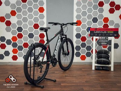 Apex Element - 29" - Discs - Suspension Fork