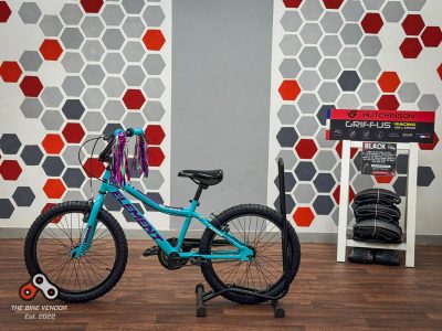 Apex Element Ember Girls 20" - Brand New