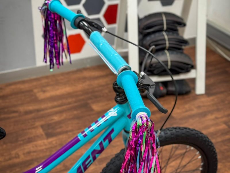 Apex Element Ember Girls 20" - Brand New